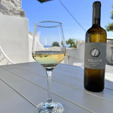 The Fig Tinos Σπίτι διακοπών